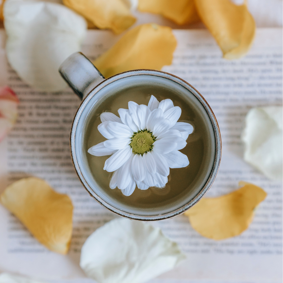 Close up image from above of a cup of coffee with a white and yellow daisy floating in it