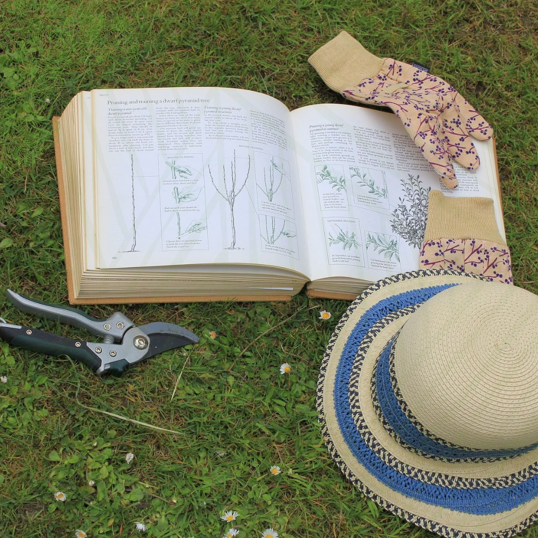 hat, garden clippers, gloves and gardening book open on green grass lawn
