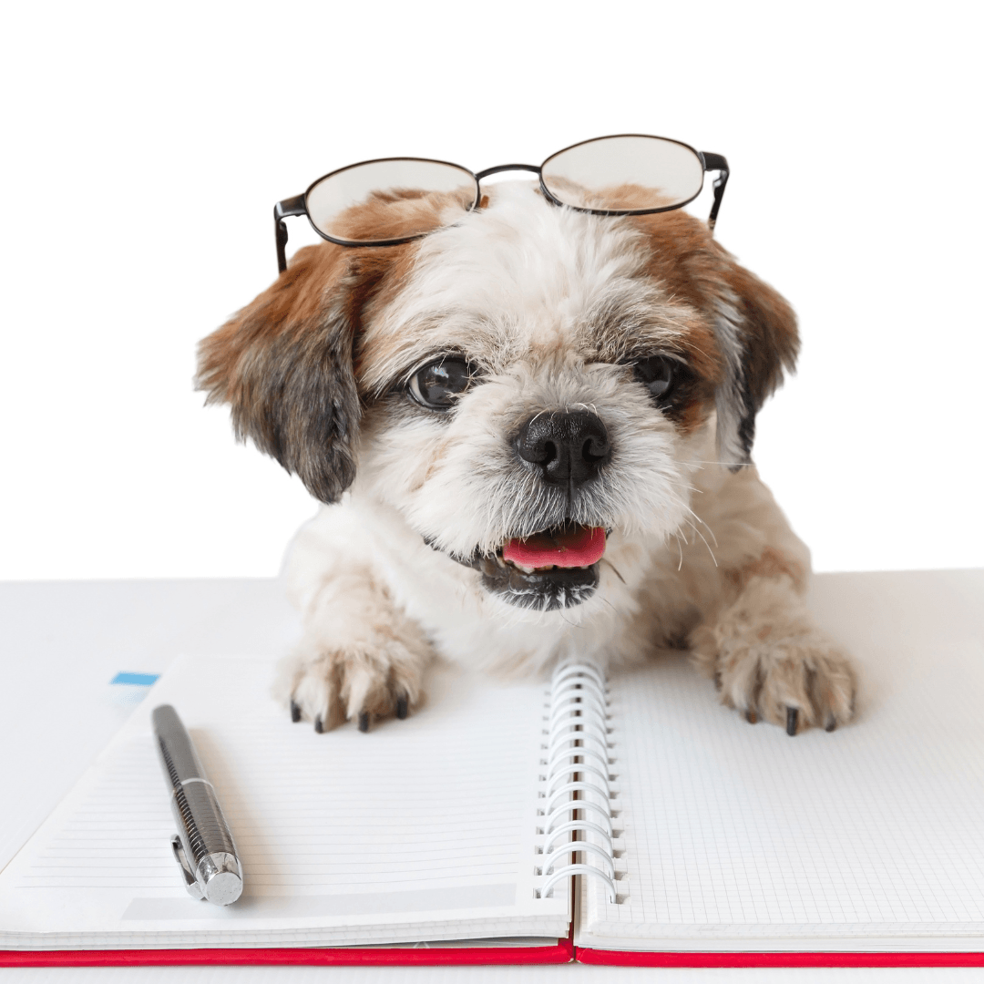 Small dog (peekapoo?) wearing glasses with paws on an open notebook with lined pages and pen