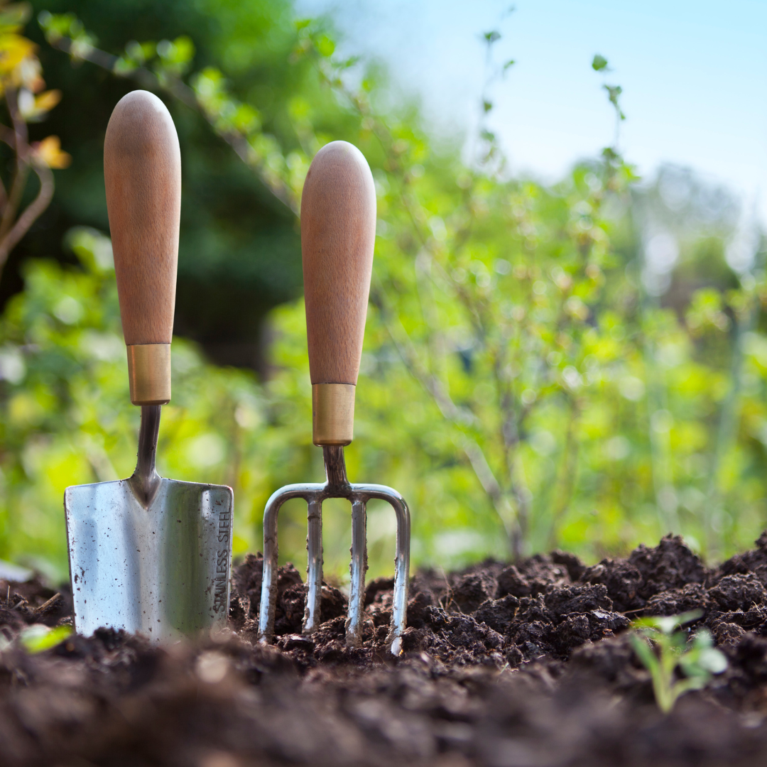 Stainless steel spade and clawy thing stuck in the dirt