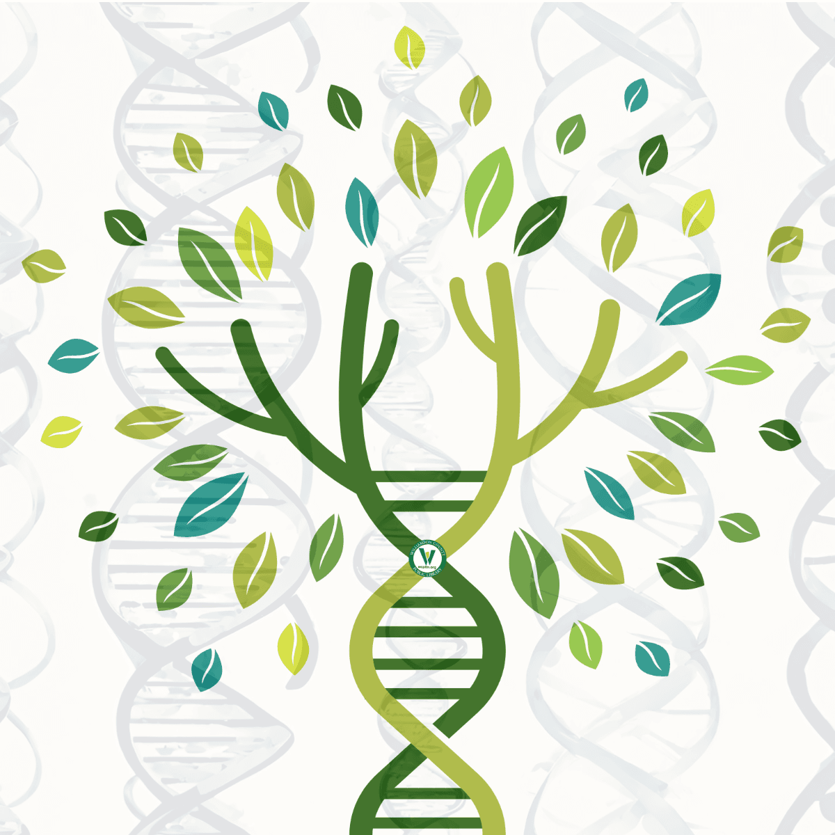 DNA strands in background with a DNA strand making a tree with leaves in center